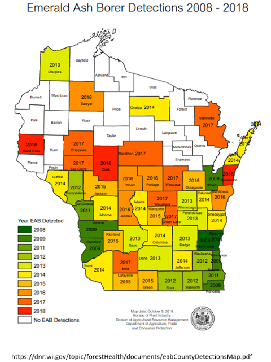 City of Altoona started its Emerald Ash Borer Mitigation Program | City ...